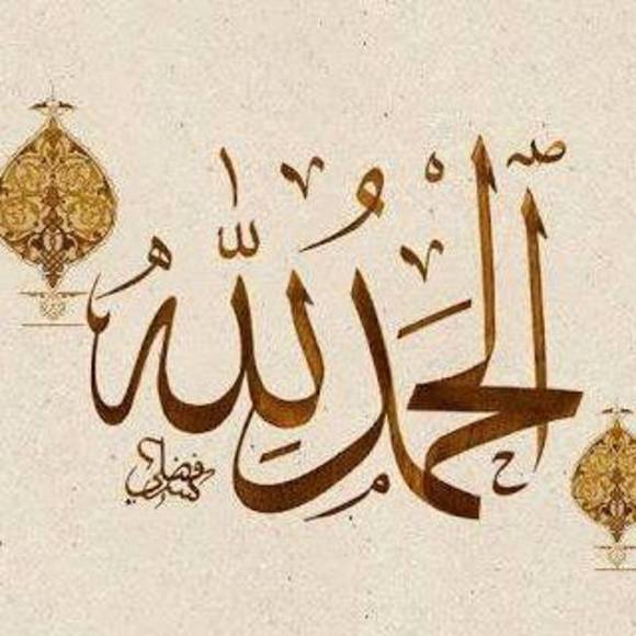 alimohammed676